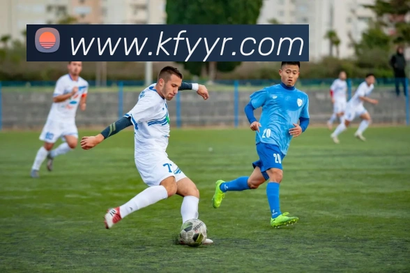 App Interface Preview